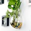 Glass Vase Flower Pot Fish Tank Terrarium Wall Hanging Pots