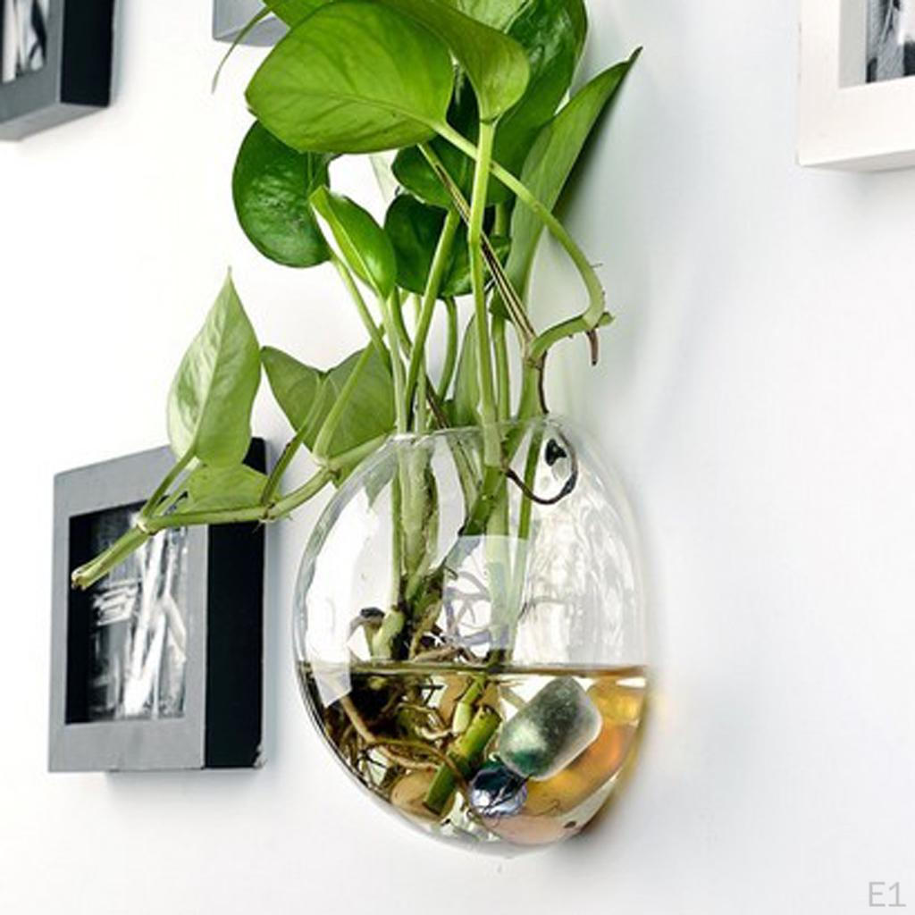 Glass Vase Flower Pot Fish Tank Terrarium Wall Hanging Pots