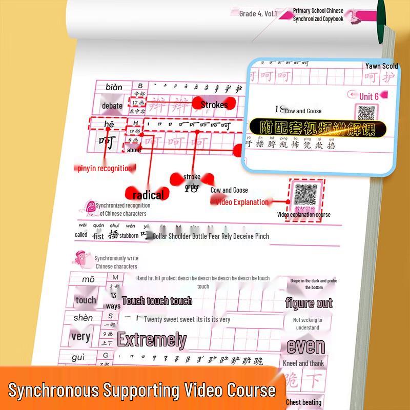 Elementary School Synchronized Practice Workbooks
