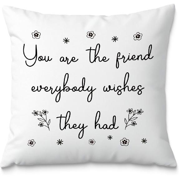 Friend Pillow Covers 18x18, Friends Gifts, Bestie BFF Gifts, Gifts for Friends, Friendship Gifts for Women, You are The Friend Everybody es They Had