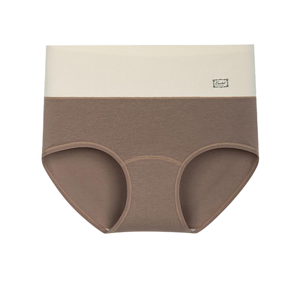 Plus  Size Ladies Spring and Autumn Pure Cotton Extended Crotch High Waist Midwaist Briefs