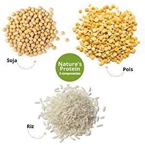 Nutri-plus natures protein - poudre de protéines végétaliennes - neutre - proteines - 500g