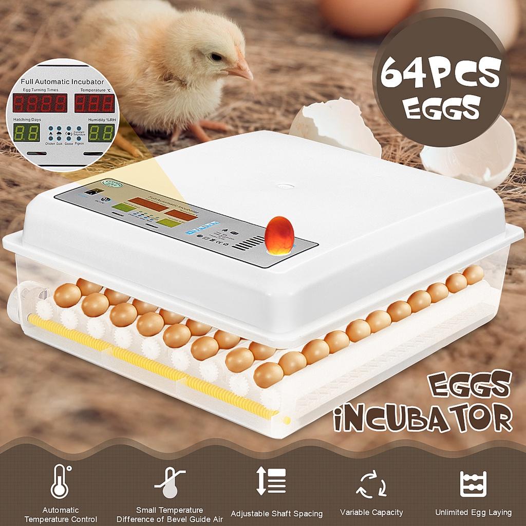 80W Automatic Farm Hatchery Incubator Brooder Machine 64 Eggs Turning Incubator Egg Hatchers For Chicken Poultry Bird Quail