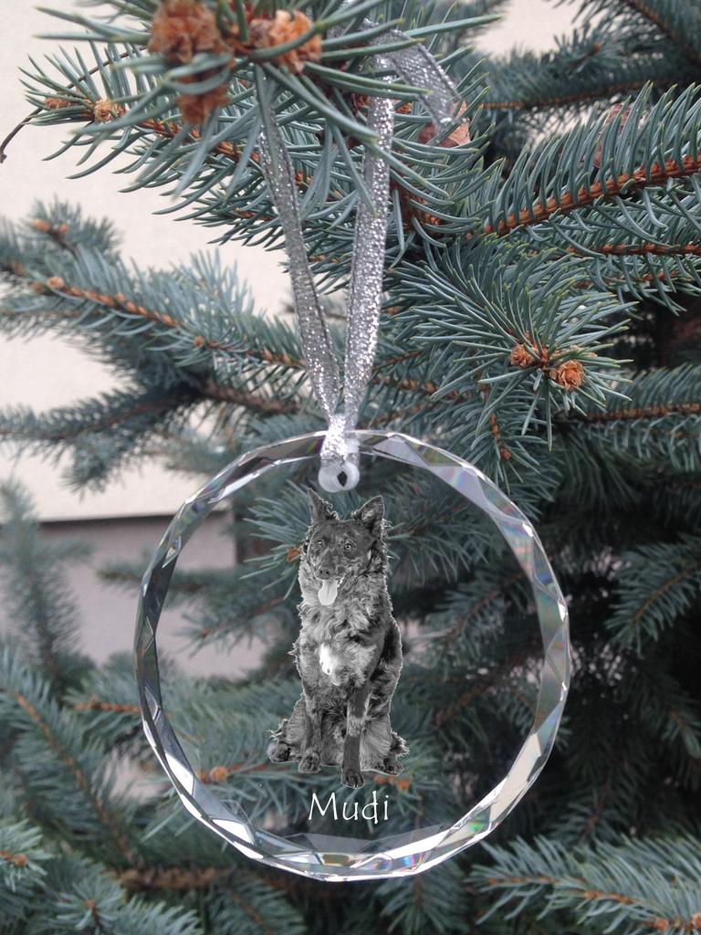 Mudi - crystal bauble with a photo, dog photo in crystal, personalized Christmas tree ornament by Art-Dog brand