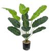 Traveler's Banana Leaf Decorative Indoor Plant - Green Dot Pattern for Home or Living Room