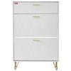 Shoe Cabinet with 3 Flip Drawers Shoe Storage Cabinet for Entryway Hallway