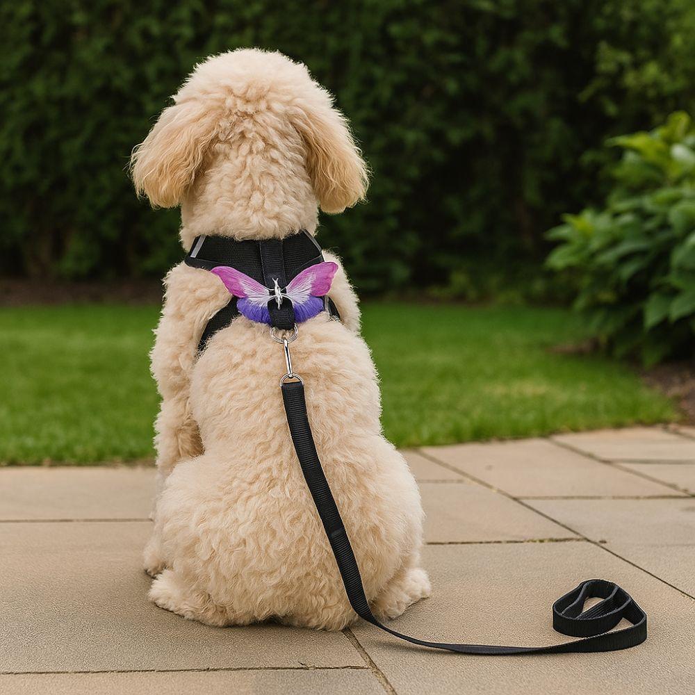 Soft Dog Chest Strap Adjustable Dog Traction Rope Collar Practical Dog Chest Vest  Daily Walk