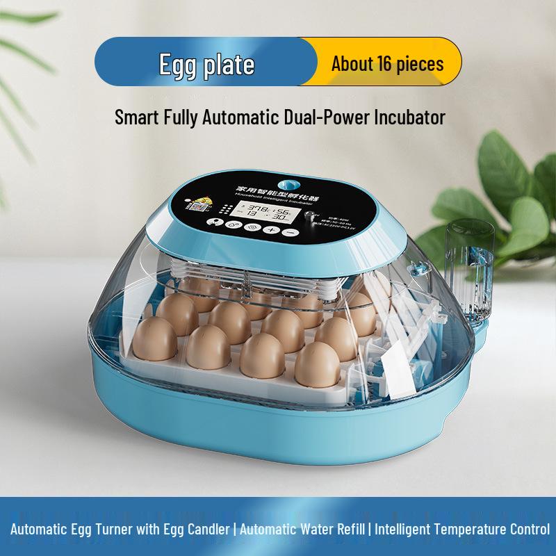 Smart Egg Incubator for Small Households - Ideal for Chicken, Duck, Goose, Pigeon, and Quail Eggs.