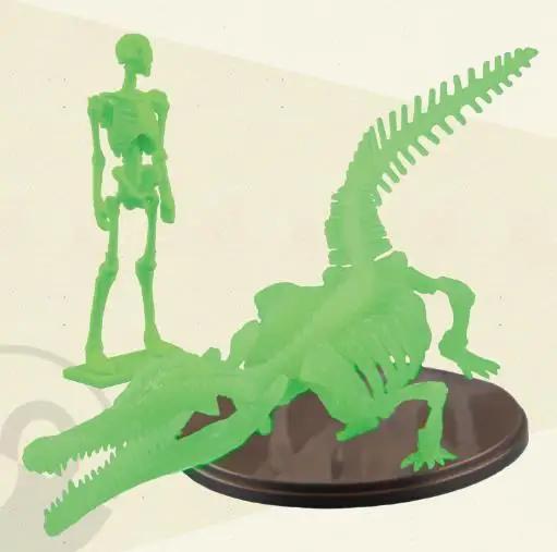 Genuine Gacha Scale Model Museum Simulation Crocodile Skeleton 1/35 Immovable Fossil Model Action Figure Toys