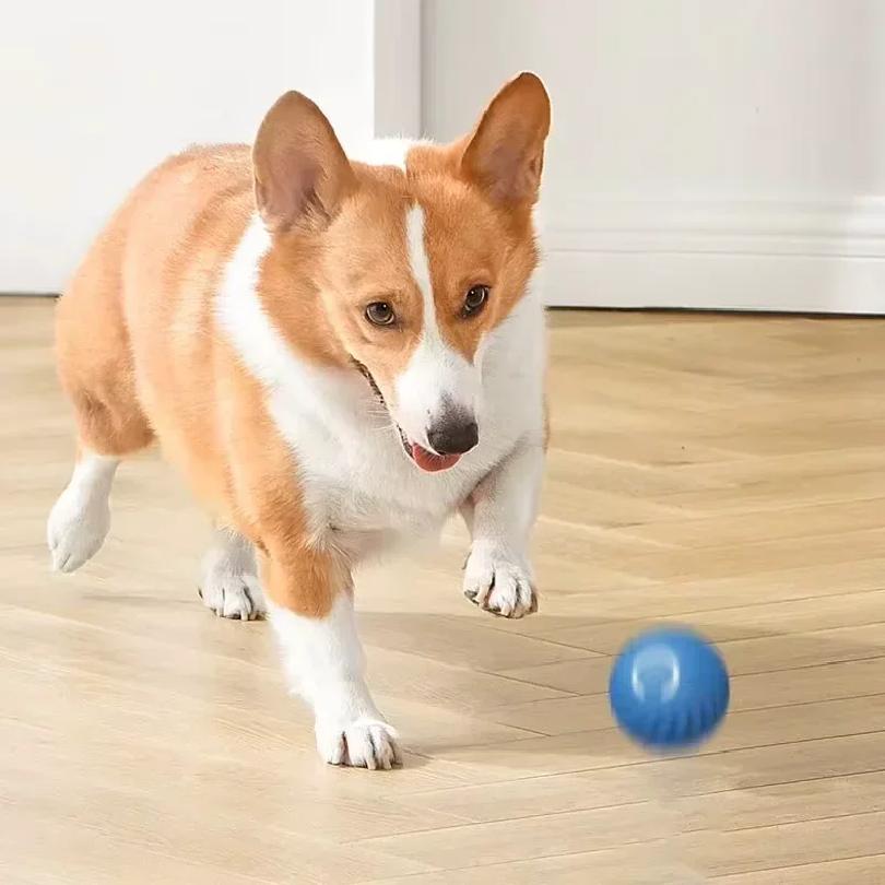 1PCS Dog Toys Intelligent Gravity Jump Ball Rechargeable Bite-Resistant Rolling Ball Cat And Dog Chase Interactive Pet Toys