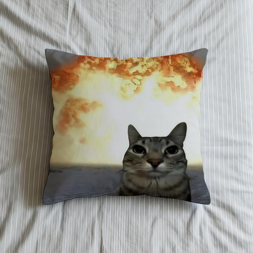Cushion Cover Soft Meme Case Funny Sofa Living Room Home Comfortable Office Decor Cat Protective Pillow