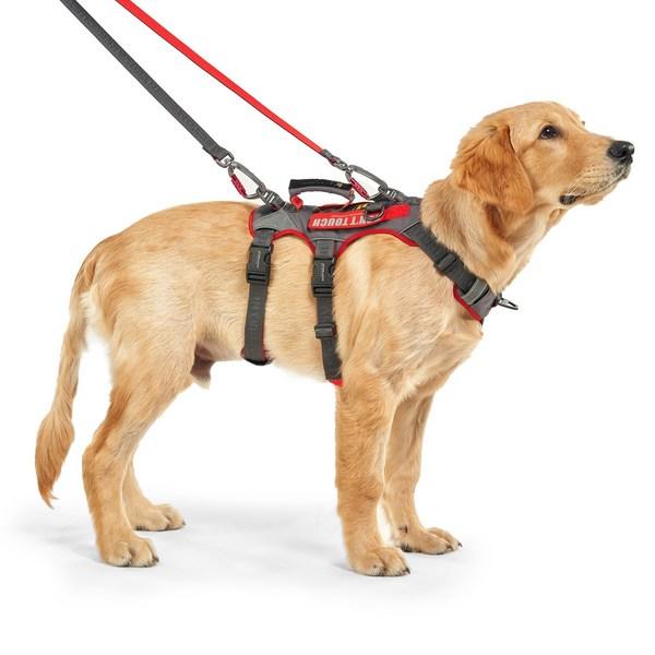 Interlaken Earthtech Slim 3.0 Dog Harness, Dark Gray + Red