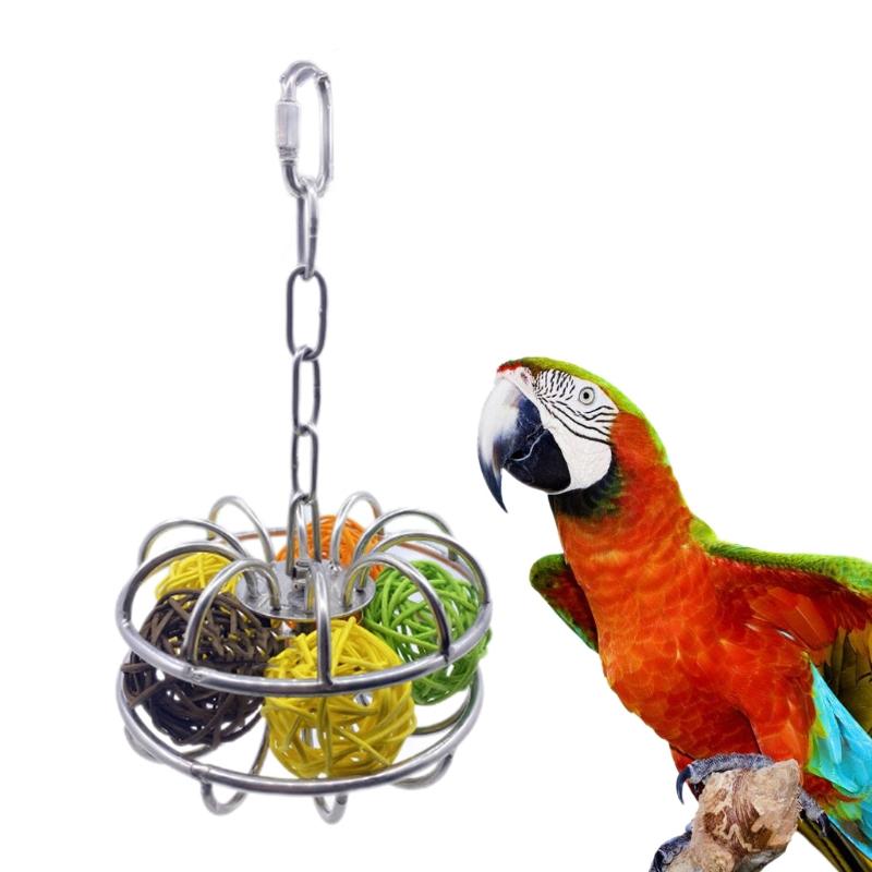 parrot puzzle feeder