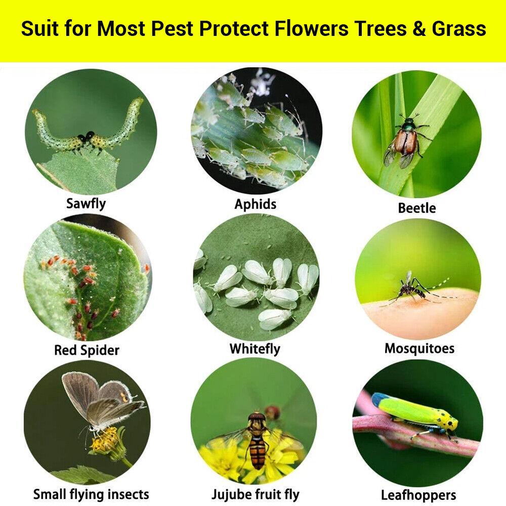 50x Klebefalle Fruchtfliegen Fliegenfalle Insekt Gelbe Klebefallen Klebefliegenpapier