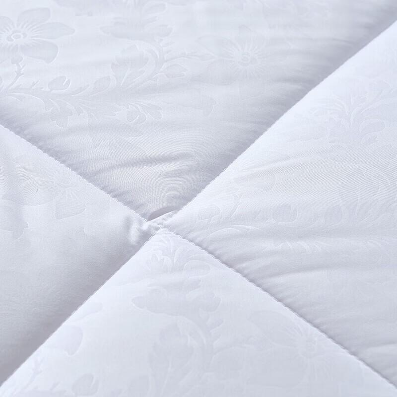 FUANNA Iris All-Season Polyester Fiber Quilt