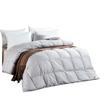 Fang'en FN-B479 All-Season White Goose Down Comforter