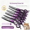 6.5-Inch Dual-Use Purple Curved Pet Grooming Scissors