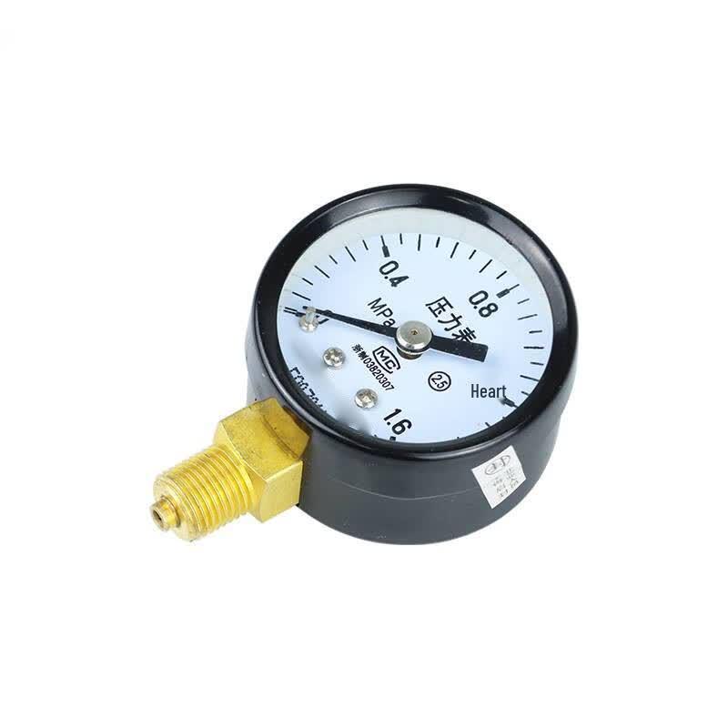 Qingwa Y40 Pressure Gauge