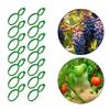 500Pcs Garden Vine Strapping Clips Plant Bundled Buckle Rings Holder Tomato Garden Plant Stand Garden Decors Accessories