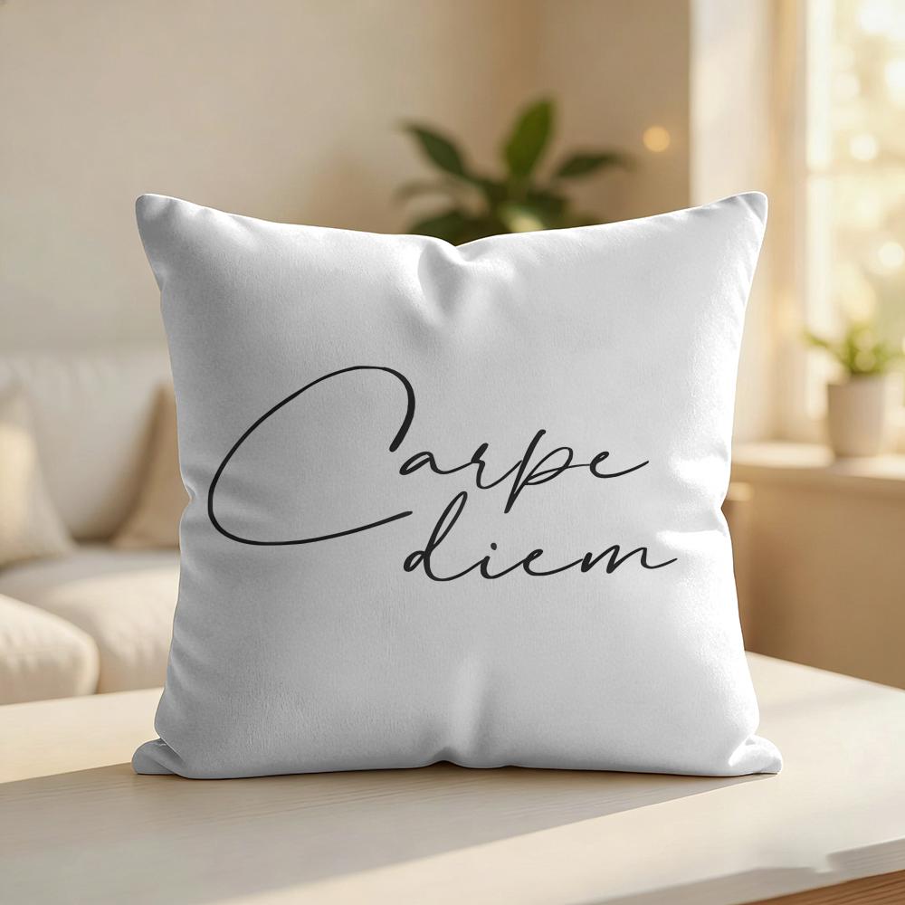 Finlay Noa Simple Words Ins Cushion Cover Silky Short Plush Invisible Zipper Dustproof Sofa Pillow Case For Home Decor