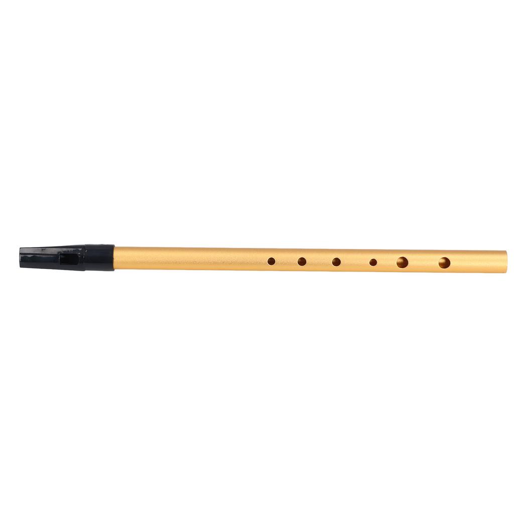 Musical Short Flute Portable Alloy Professional   Short Flute with Lrning Manual for Students