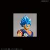 Standard Dragon Ball Super Saiyajin Gott Super Saiyajin Vegetto Kunststoff Modell Figur-rise Farbcodiert