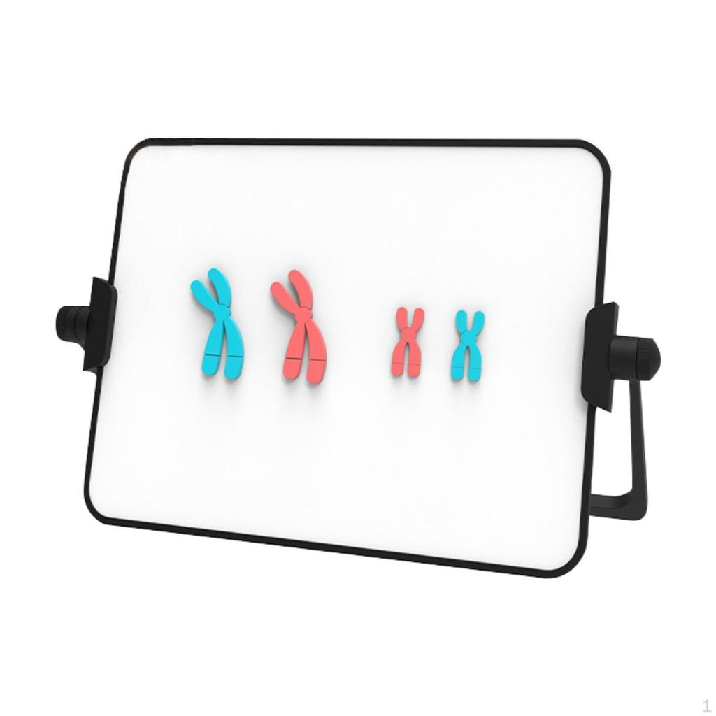 Chromosome Model Kit Educational Learning Tool Reusable Demonstration Instrument Easy to