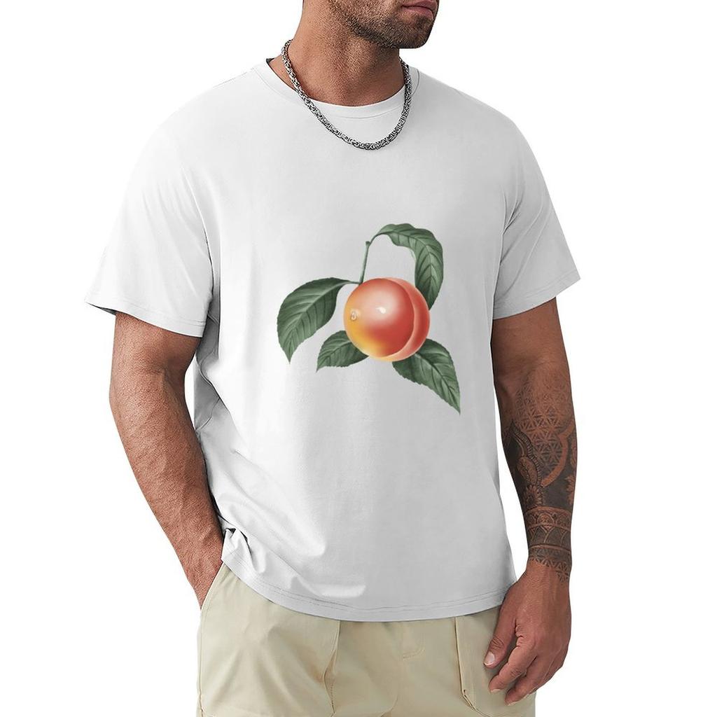 Peach Fruit Realistic Fruit TShirt Fashion Pattern Printed Tee Shirt