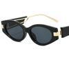 HOT Sunglasse Women Sun Glasses Simplity Anti-UV Spectacles Cat Eye Eyeglasses Small Frame Ornamental Personality TemplesGoogl