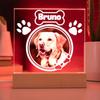 Custom Pet Photo Night Light Pet Growth Memorial Plaque Frame Personalized Custom Pet Picture Ornament Record Life Highlight
