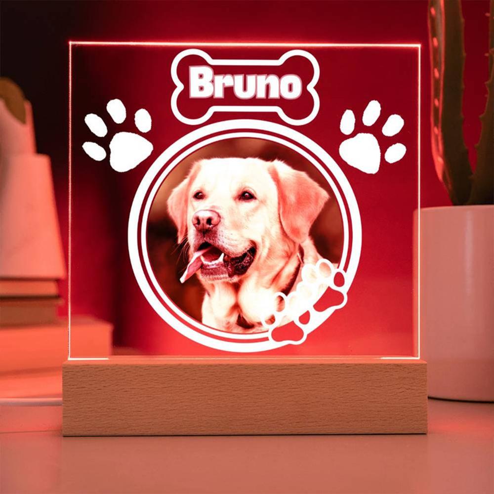 Custom Pet Photo Night Light Pet Growth Memorial Plaque Frame Personalized Custom Pet Picture Ornament Record Life Highlight