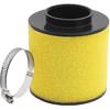 Road Passion 17254-HM8-000 Air Filters Replacement for Honda TRX250EX Sportrax 250 EX 2001-2008/ TRX250X Sportrax 250 2009-2014 2016-2017/ TRX250