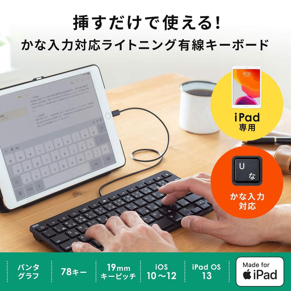 Sanwa Supply iPad Keyboard with Lightning Connection, Black, SKB-IP3BK