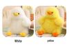 Dundun Cute Chubby Cartoon Duck Plush Toy