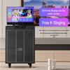 Newman N517 Portable KTV Karaoke Bluetooth Speaker CN Plug (adapter Included)