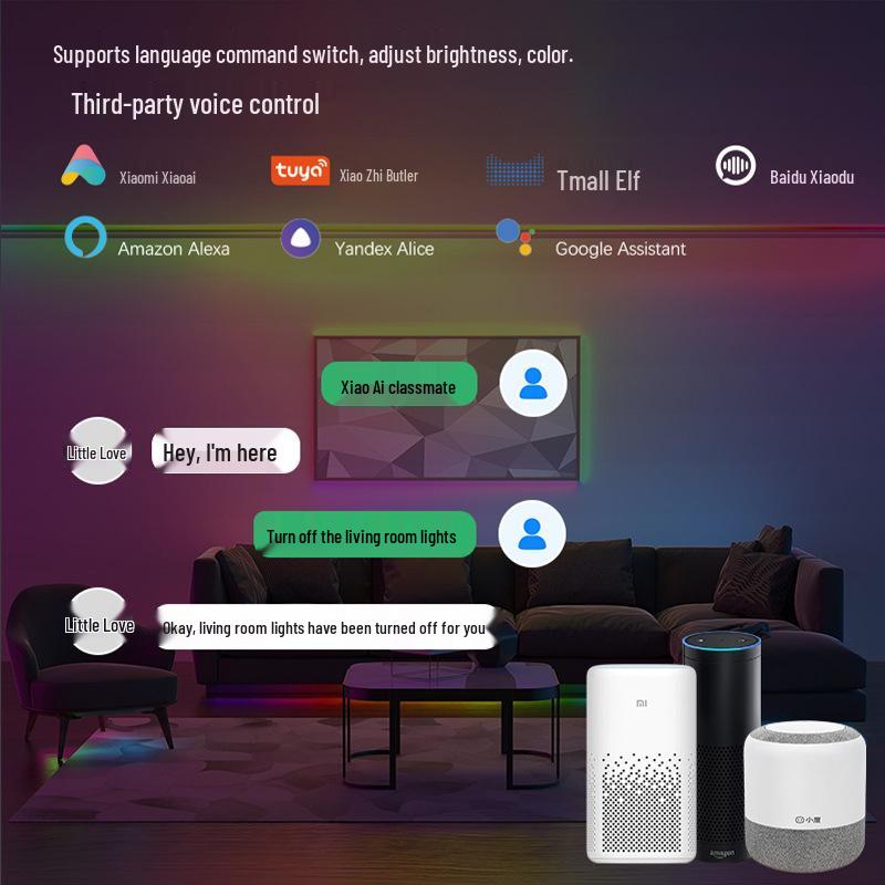 RGB Graffiti Smart Speaker: WIFI & 2.4G Touch Remote, Voice-Controlled.
