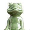 Charming Frog Miniature Sculpture for Home and Garden Decor