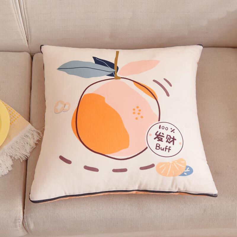 

LRT All-Season Soy Fiber Pillow Blanket