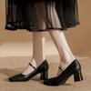 Silver Mary Jane High Heels: Women's Square Toe Retro Chunky Heel One-Strap Shoes for Spring and Autumn.