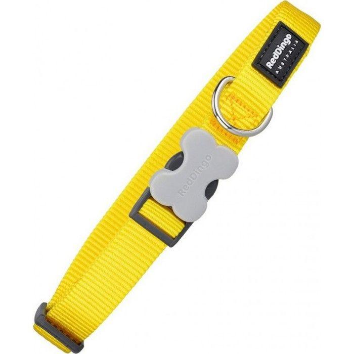 Collier Pour Chien - NC - Red Dingo - Lisse - Jaune - 2,5 X 41-63 Cm