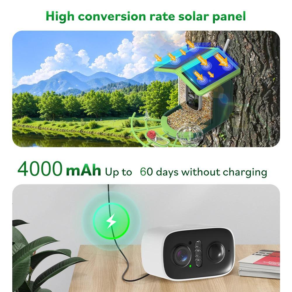 Smart Solar Bird Feeder with AI Recognition and Low Power HD Camera