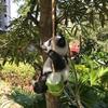 Cute Black and White Panda Swing On Bamboo Creative Statue Home Garden Decoration Outdoor Decoration