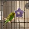 Flowers Shape Bird Foraging Toy Plastic Parrot Toy Creative Bird Interactive Toy  Foraging Activity