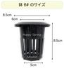 Happy Spring Hydroponic Pots (6# Black_12 pcs)