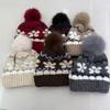 Vintage Jacquard Knitted Thermal Hat Women's Autumn and Winter Plush Thread Pullover Ear Protection Hat Outdoor Cycling Show Face Small Cold Hat
