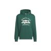 adidas Originals GRAPHIC HOODIE Sweatshirt Herren Grün JE3486