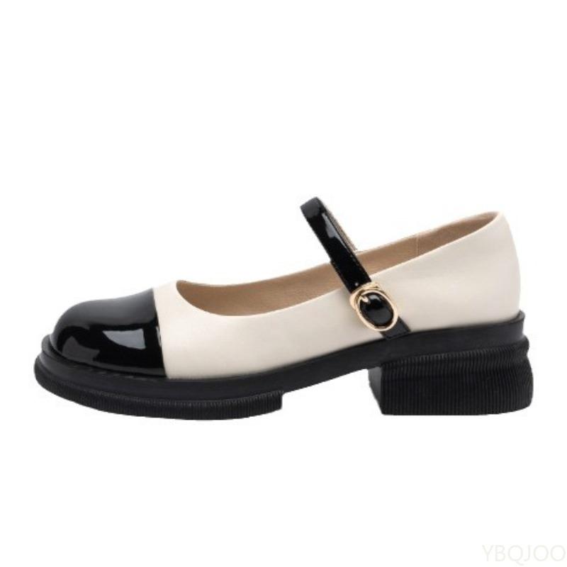 New comfortable Women Retro Thick Heel Single Shoes Elegant minimalist Square toe women's shoes Fashionable versatile high heels