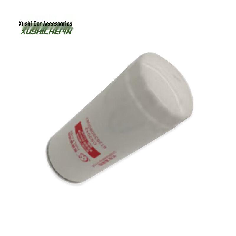 Xushi Diesel Fuel Filter for Shaanxi SX2190N Transport Vehicle