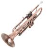 Antique-Style B-flat Wind Instrument for Students & Beginners - Professional Performance with Labor-Saving Keys