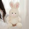 Rabbit Doll Plush Toy Cute Cartoon Pink and White Rabbit Curly Rabbit Little White Rabbit